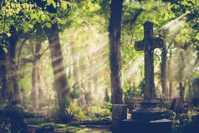 Bild vergrern: Old cemetery. Selective focus.