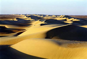 Bild vergrößern: Wüste
