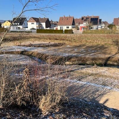 Bild vergrößern: Retentionsfläche Bach im Winter