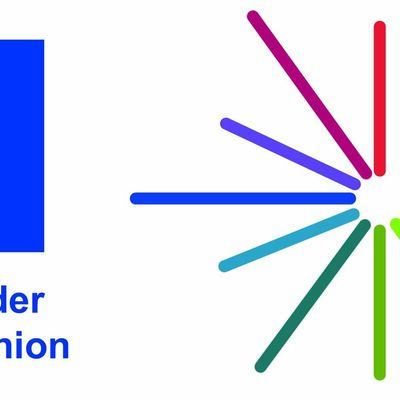 Bild vergr&ouml;&szlig;ern: Logo WIR KISI EU