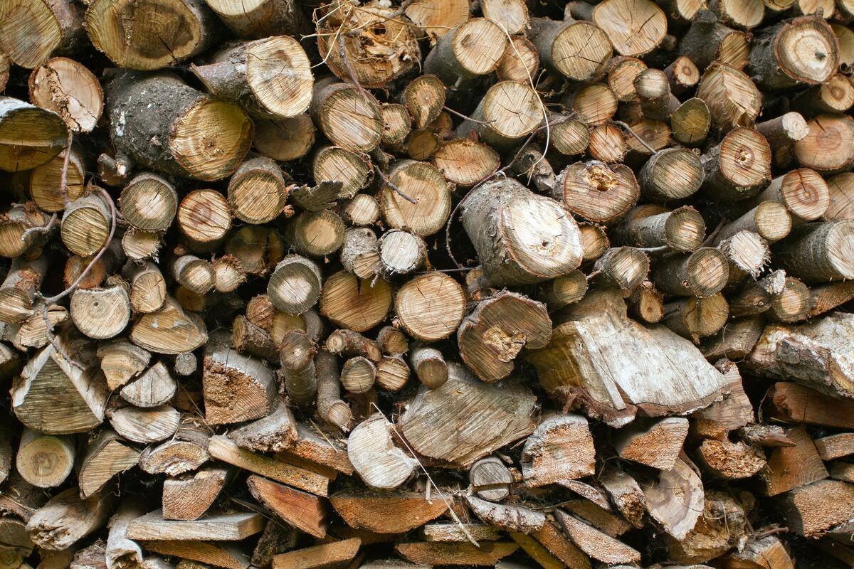 Symbolbild Baum- und Strauchschnitt
Auf dem Bild sind übereinandergestapelte Äste und Baumstämme zu sehen.